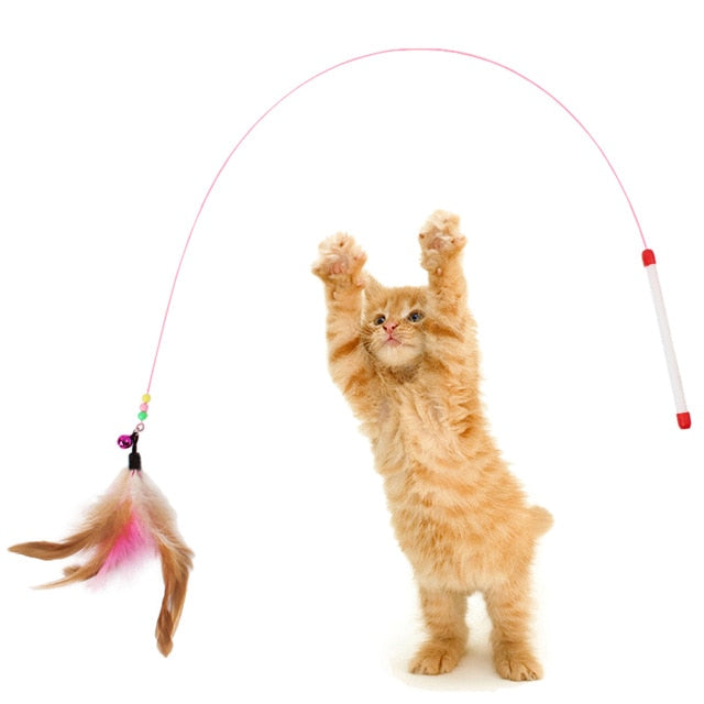 Cat Interactive Toy Stick