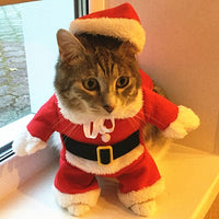 Christmas Cat Clothes For Cats