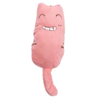 Funny Interactive Crazy Cat Toy