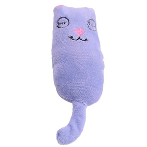 Funny Interactive Crazy Cat Toy