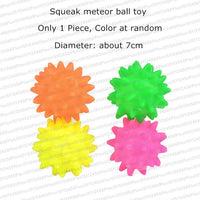 Rubber Squeak Toy for Dog