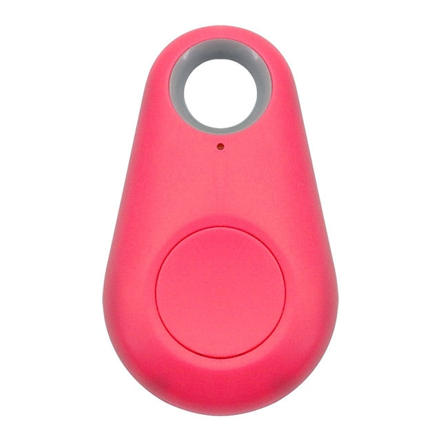 Pet Smart GPS Tracker